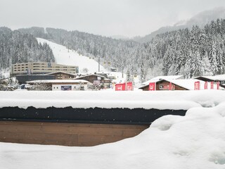 Appartamento Fieberbrunn Registrazione all'aperto 5