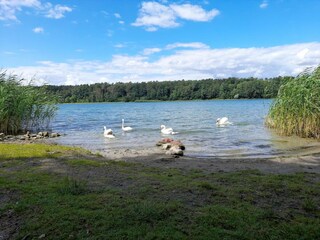 Apartamento Strausberg Entorno 22