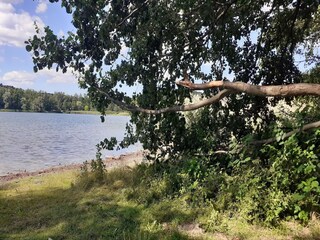 Apartment Strausberg Umgebung 22