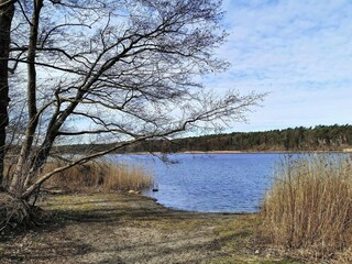 Appartamento Strausberg Ambiente 18