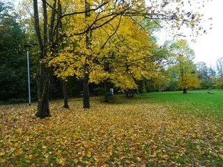 Apartment Strausberg Umgebung 40