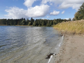 Apartment Strausberg Environment 23