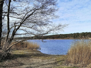 Apartment Strausberg Environment 24