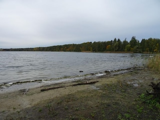 Apartment Strausberg Environment 40