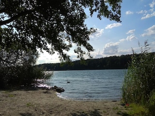 Apartment Strausberg Umgebung 24