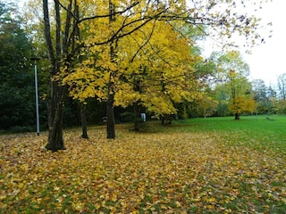 Appartamento Strausberg Ambiente 27