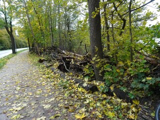 Appartamento Strausberg Ambiente 30