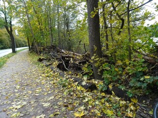 Appartamento Strausberg Ambiente 30