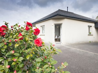 Vakantiehuis Portsall  18