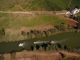 Villa Ferreiras Omgeving 21