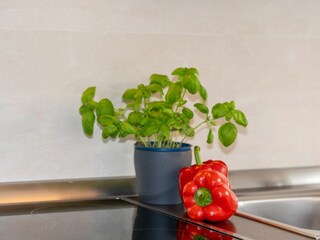 Ferienwohnung Grömitz Ausstattung 12