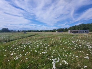 Chalet Heythuysen Umgebung 17