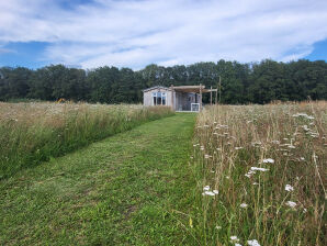 Chalet Hoeve Twente - De Torenvalk - Heythuysen - image1