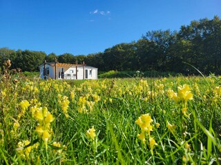 Chalet Heythuysen Außenaufnahme 4