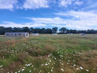 Chalet Heythuysen Umgebung 15