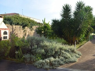 barbacue and garden views