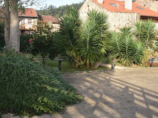 garden and cottage views