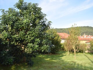 garden and cottage views