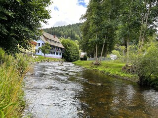 Apartamento de vacaciones Schenkenzell Entorno 21