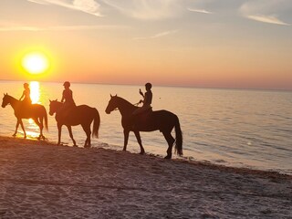 Ferienhaus Darlowo Außenaufnahme 25