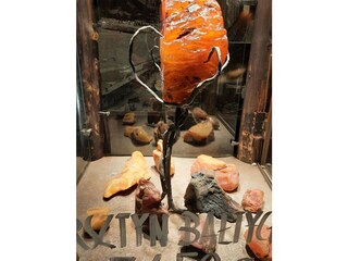 Ferienhaus Darlowo Umgebung 31