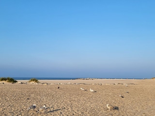 Ferienhaus Darlowo Umgebung 34