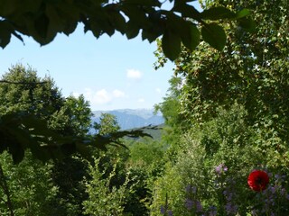 Appartamento per vacanze Segusino Registrazione all'aperto 4