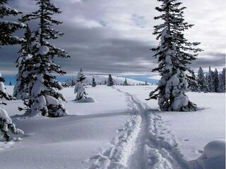 Parc de vacances Annaberg-Lungötz  26