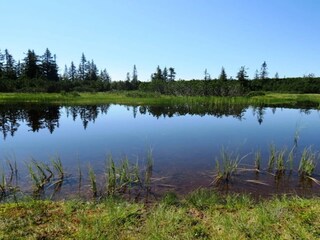 Vakantiepark Annaberg-Lungötz  13