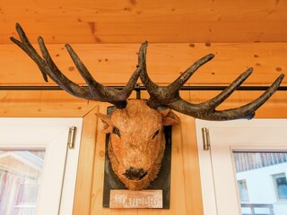 Parc de vacances Annaberg-Lungötz  21