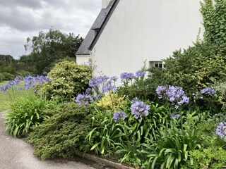 Landhaus Lampaul-Plouarzel  37