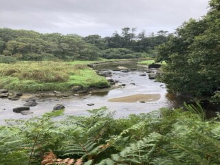 Type de propriété : Chalet Lampaul-Plouarzel  44