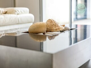 Villa Saint-Hilaire-de-Riez  34