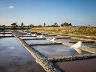 Roulotte Saint-Hilaire-de-Riez Environnement 2