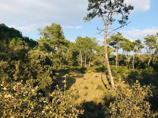 Appartamento Saint-Hilaire-de-Riez Ambiente 24