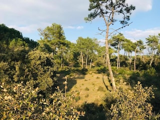 Appartamento Saint-Hilaire-de-Riez Ambiente 17