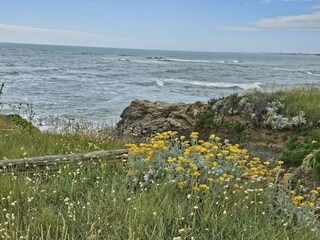 Casa per le vacanze Saint-Hilaire-de-Riez  11