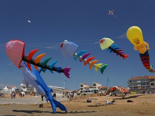 Vakantiehuis Notre-Dame-de-Monts  3