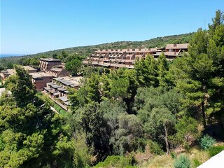 Apartment Porto Rotondo Umgebung 31