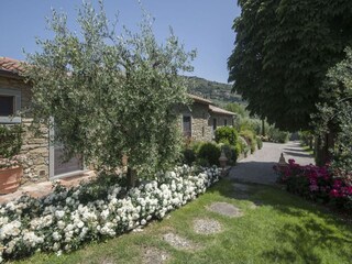 Villa Cortona Registrazione all'aperto 11