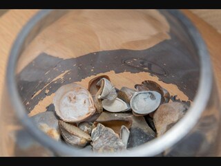 Apartamento Zoutelande  48