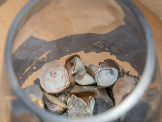 Apartamento Zoutelande  45