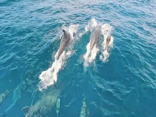 Apartamento Quarteira  32