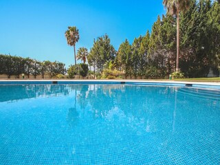 Appartement Ferreiras  42