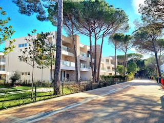 Apartment Gjiri Lalzit Environment 34