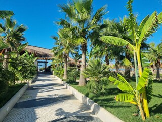 Apartment Gjiri Lalzit Outdoor Recording 7