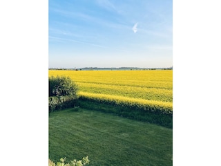 Holiday apartment Neue Tiefe Environment 26