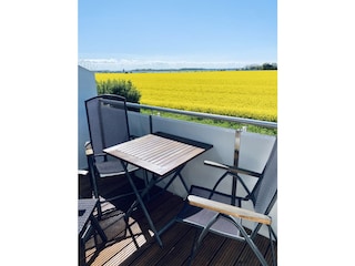 Blick vom Balkon über Rapsfeld Richtung Ostsee
