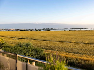 Ausblick zum Yachthafen mit Aussichtsturm