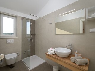 Villa Manjadvorci Caratteristiche 21